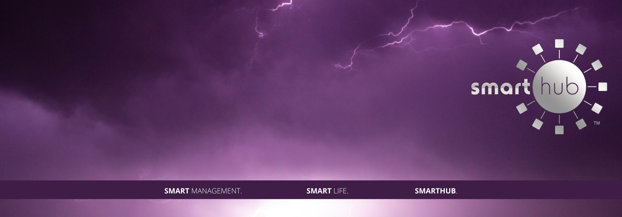 Manage your electric count, anytime, anywhere with SmartHub.
